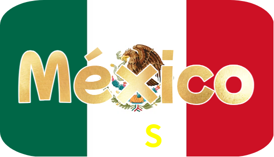 69S Logo